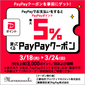 paypayキャンペーン
