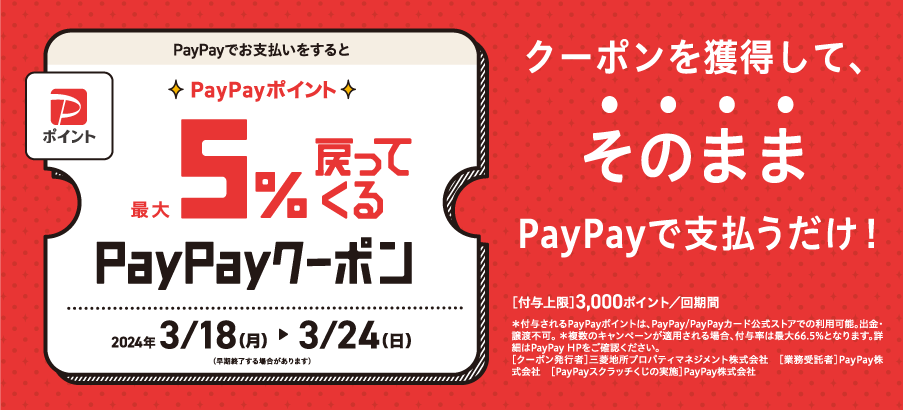paypayキャンペーン