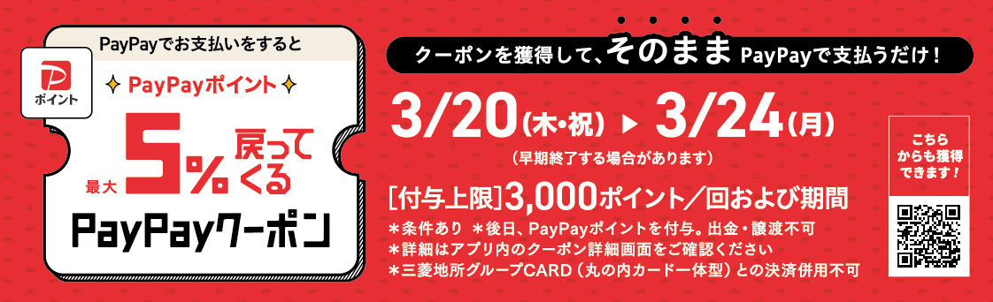 paypayキャンペーン