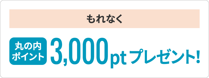 もれなく丸の内ポイント3,000ptプレゼント！