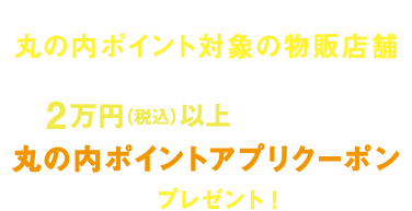 期間中、アプリでエントリーして丸の内ポイント対象の物販店舗（食物販店除く）にて2万円（税込）以上ご利用の方に丸の内ポイントアプリクーポンをプレゼント！