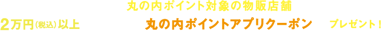 期間中、アプリでエントリーして丸の内ポイント対象の物販店舗（食物販店除く）にて2万円（税込）以上ご利用の方に丸の内ポイントアプリクーポンをプレゼント！